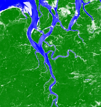 NDVI suavizado